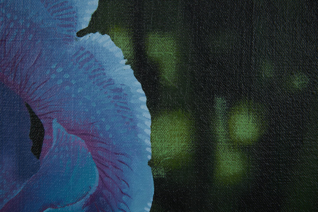 Iris Transient by Dean Drahos