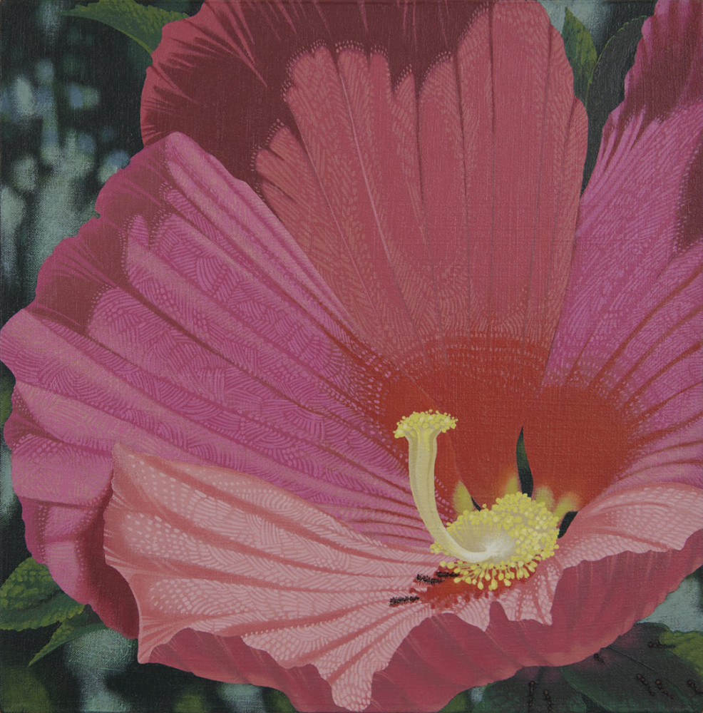 Rose Mallow Ephemeral by Dean Drahos
