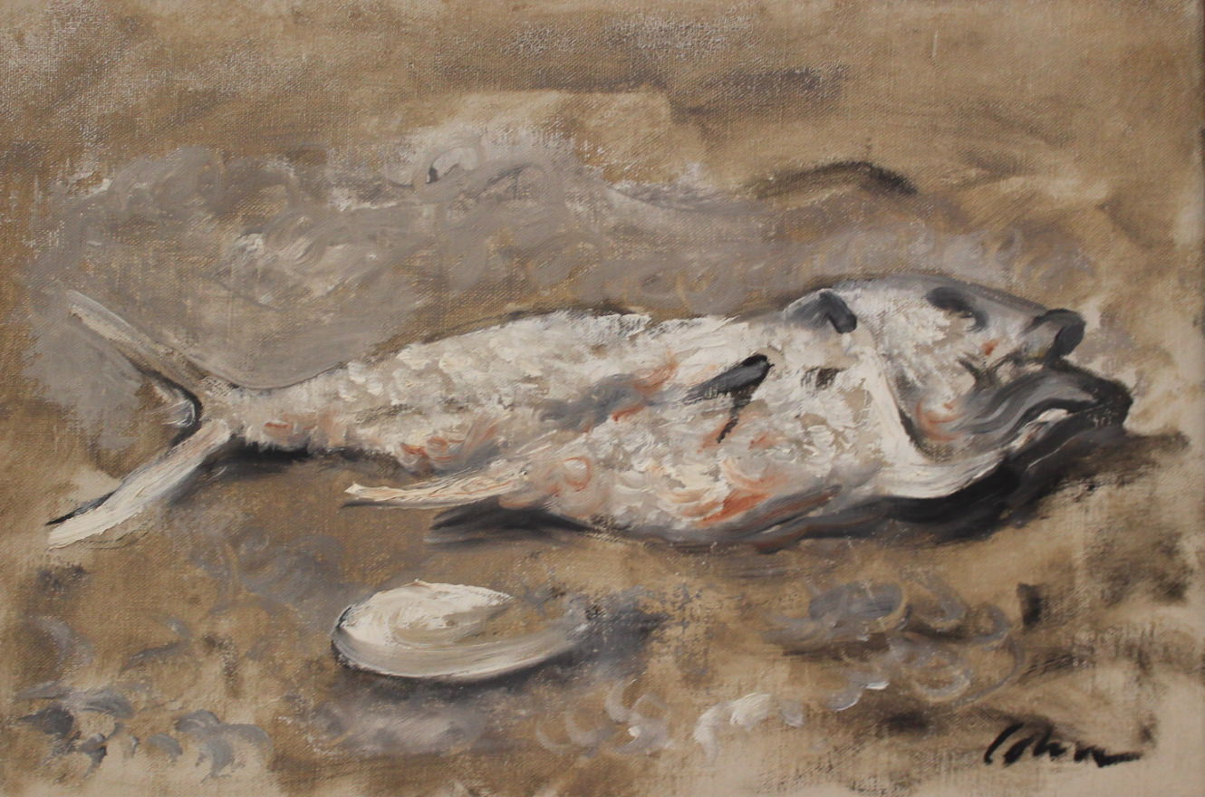 Still Life, Fish and Oyster Shell by Harold Cohn