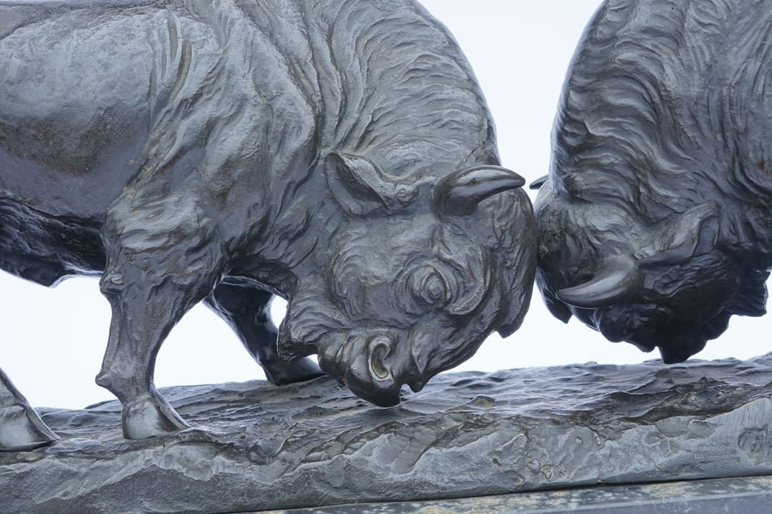 Fighting Buffalo by Franz Iffland