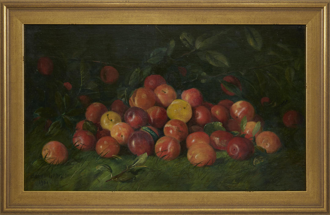 Still-Life of Apples by Adam Lehr