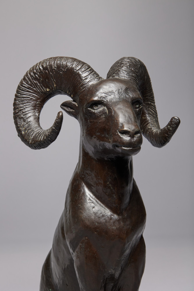 Mountain Goat by William McVey