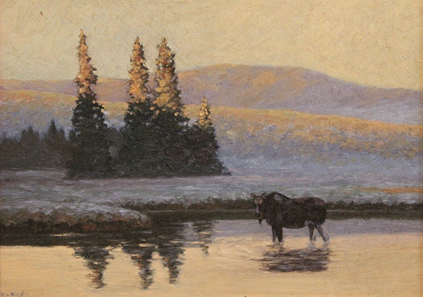 Female Moose in River by Paul Colbrun
