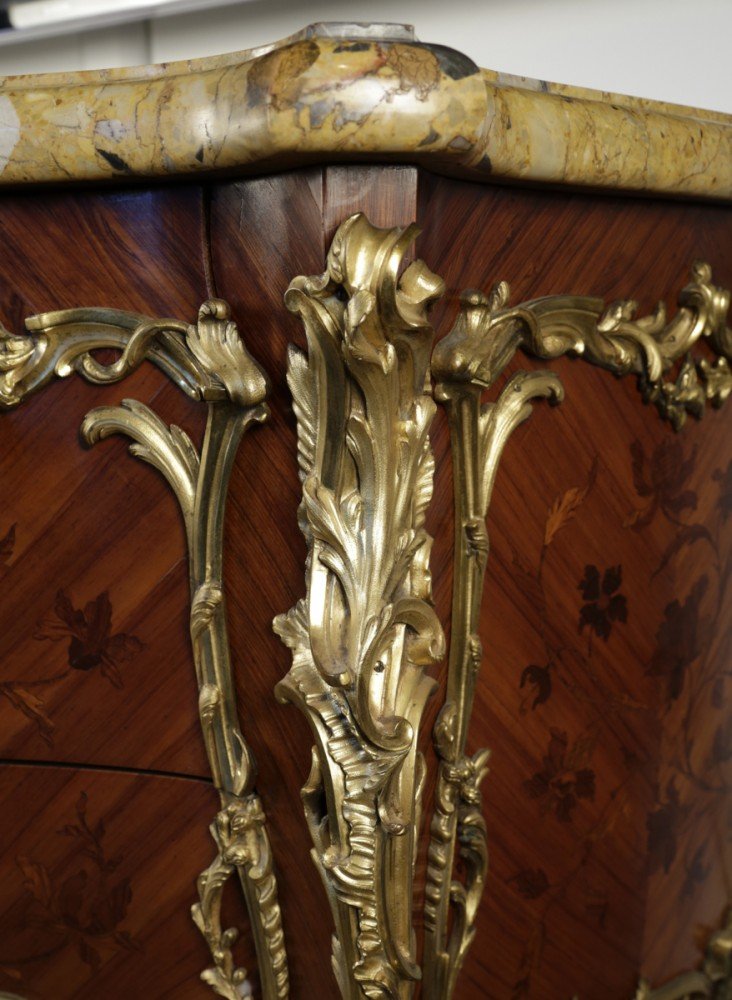 Kingwood, Satinwood, Ebony, Glit Bronze Decorative Art: 