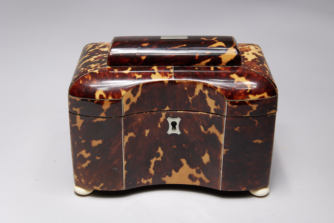 Regency Tortoise Shell Tea Caddy