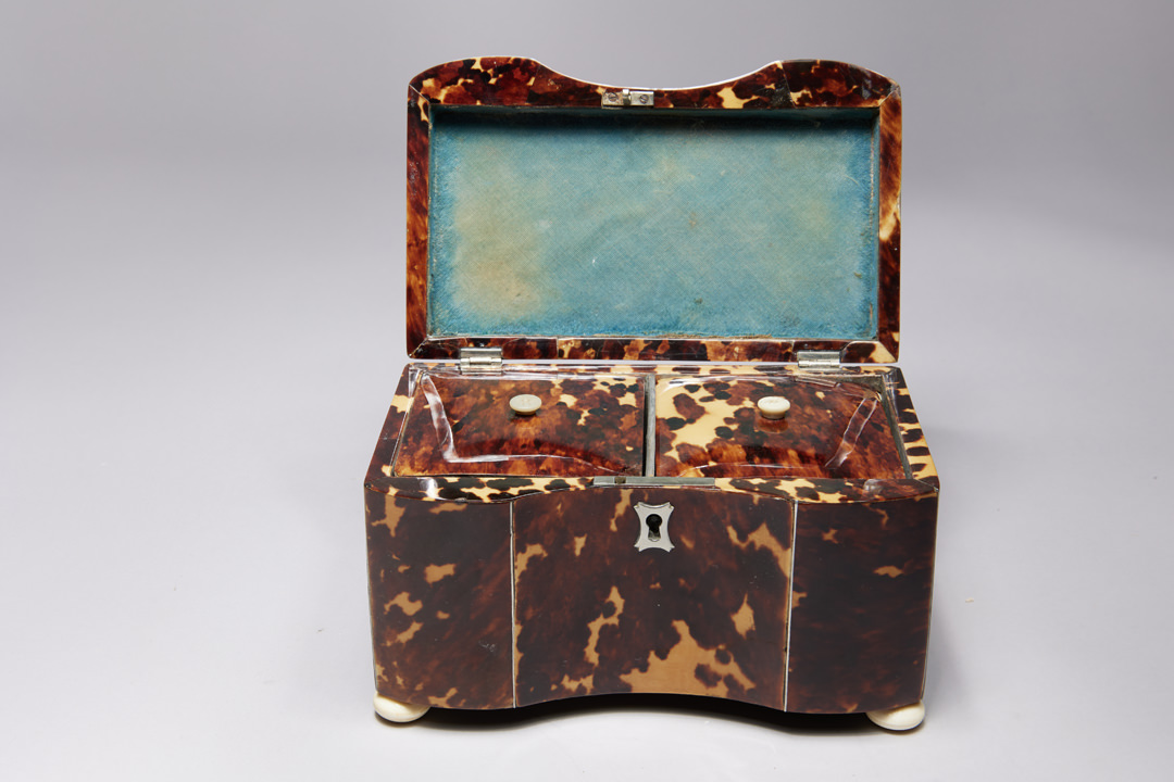Regency Tortoise Shell Tea Caddy