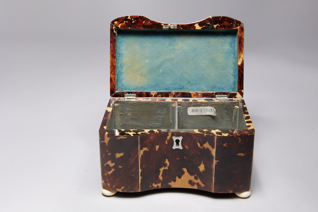 Regency Tortoise Shell Tea Caddy