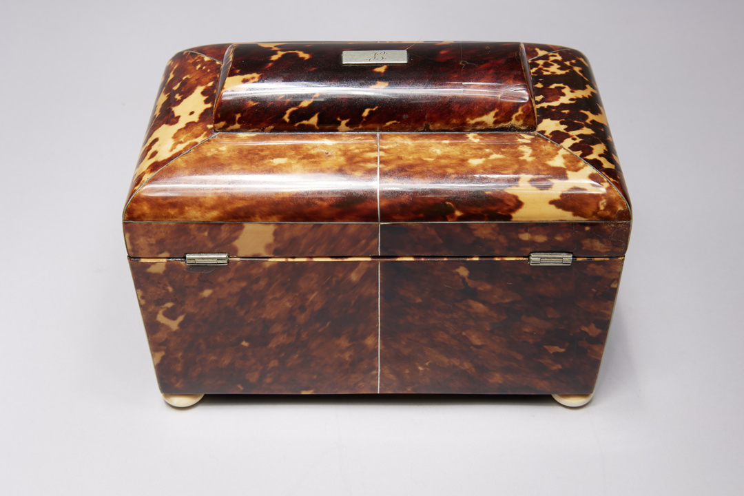 Regency Tortoise Shell Tea Caddy