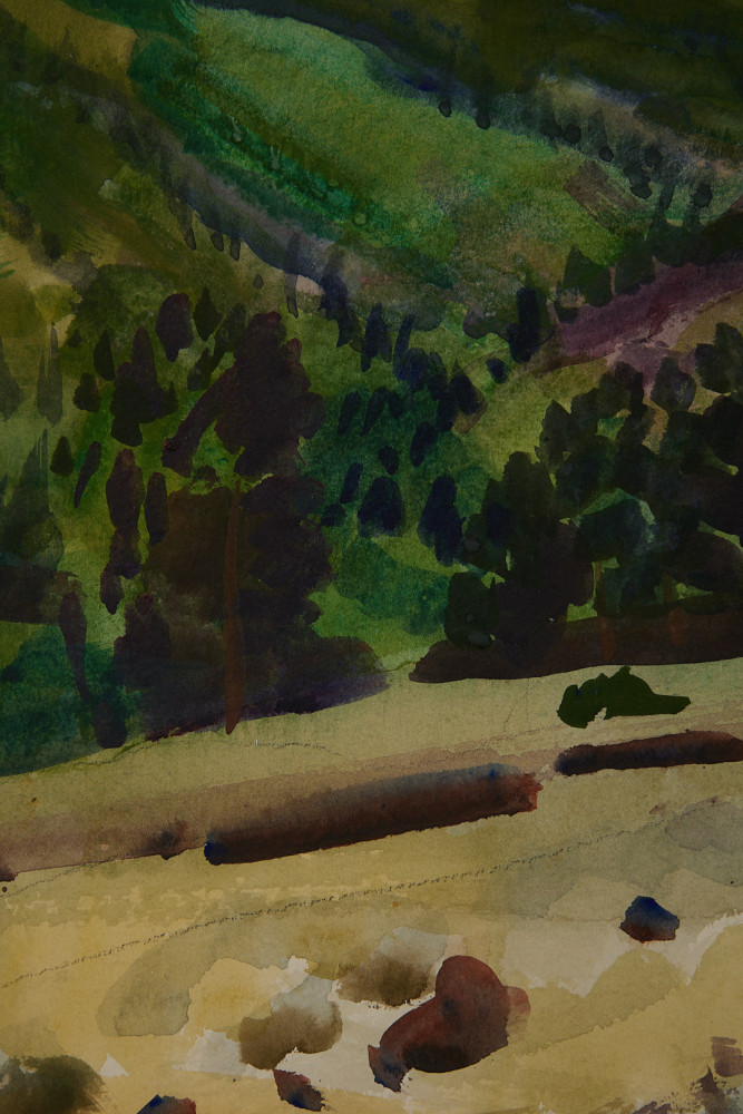 High Meadow, Colorado by Frank Nelson Wilcox