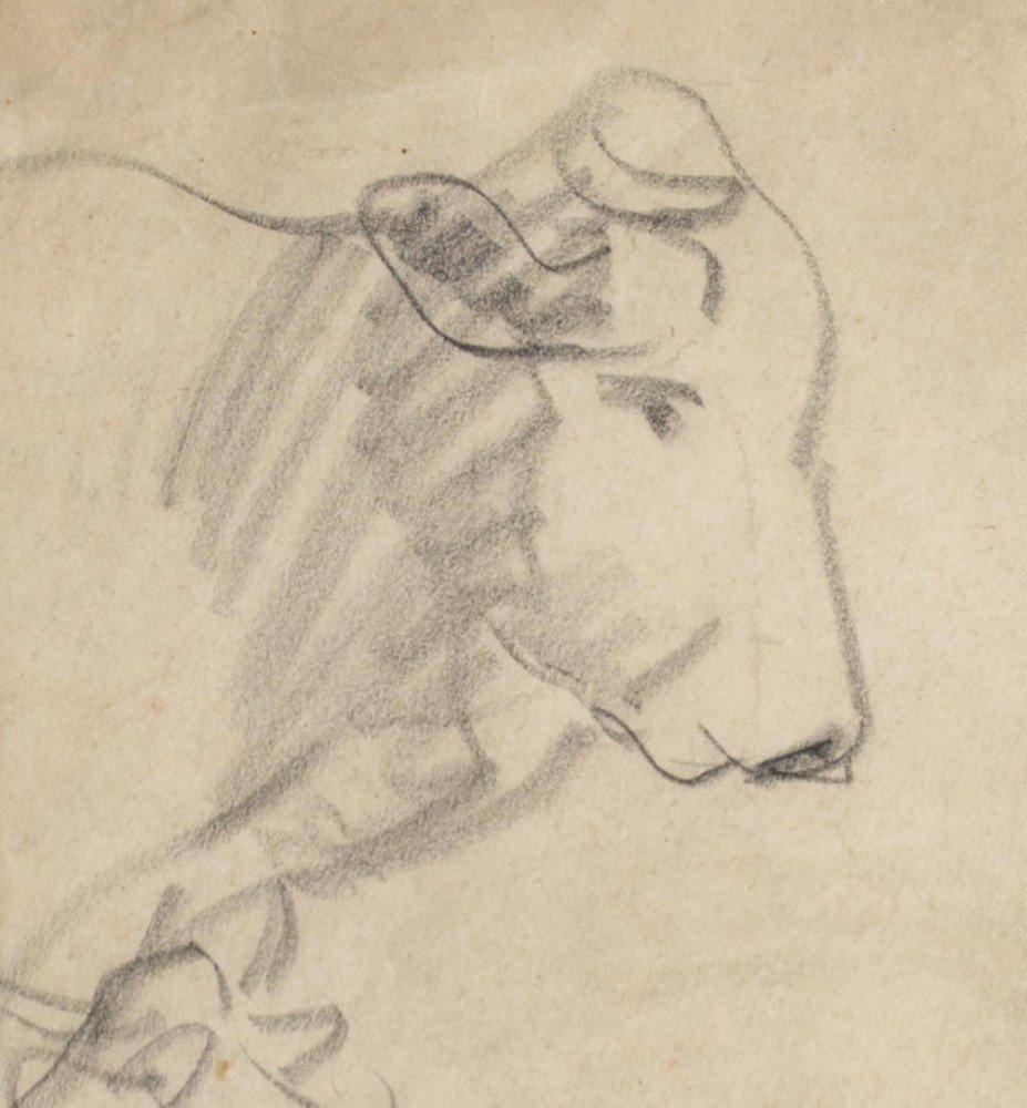 Sketches of Cows by William Sommer