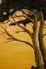 Monterey Pines by Ferdinand Burgdorff