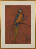Parrot by August Frederick Biehle