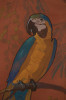 Parrot by August Frederick Biehle