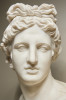 Bust of The Apollo Belvedere, 19th Century Italian