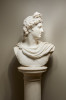 Bust of The Apollo Belvedere, 19th Century Italian