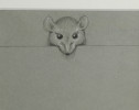Animal Graphite on Gray Paper Drawing Sketch: 