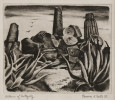 Landscape Etching and Drypoint Drawing: 