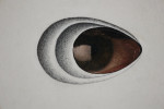 Seeing Egg by Clarence Holbrook Carter