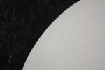 Seeing Egg by Clarence Holbrook Carter