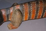A Carved and Polychromed African Crocodile