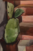 Cactus (Mexico) by Clara Deike