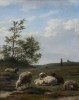 Sheep in Landscape by Frans Lebret