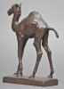 Baby Camel by Frederick George Roth