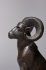 Mountain Goat by William McVey