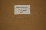 Curved Dimensions by Edwin Mieczkowski