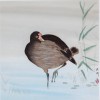 Set of Three Chinese Watercolors of Waterfowl in Matching Frames