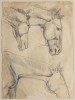 Sketches of Horses by William Sommer